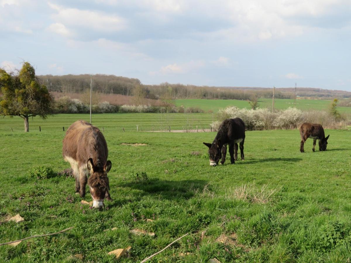 O Pres D'ici D'hotes Bed & Breakfast Lievans