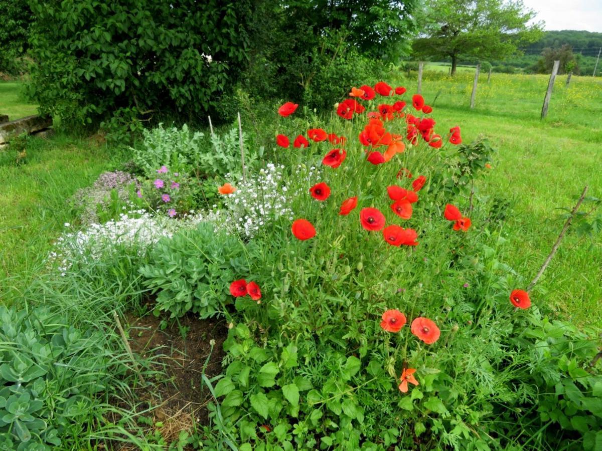 O Pres D'ici D'hotes Bed & Breakfast *