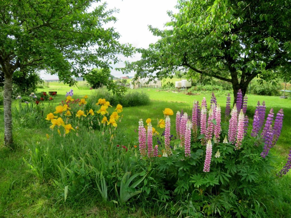 Bed & Breakfast O Pres D'ici D'hotes Lievans